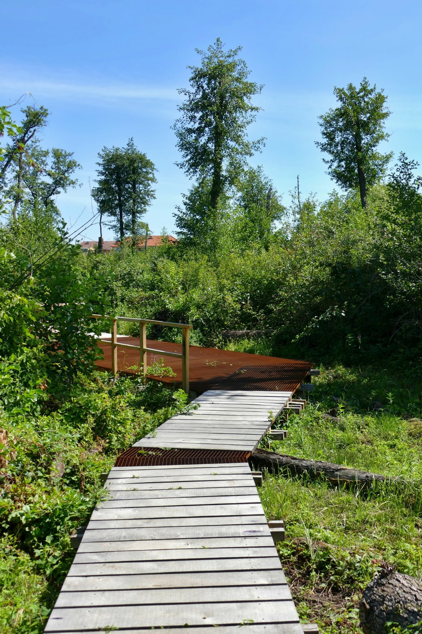 Corten® gratings on a footbridge in a suburban forest in Hodonín